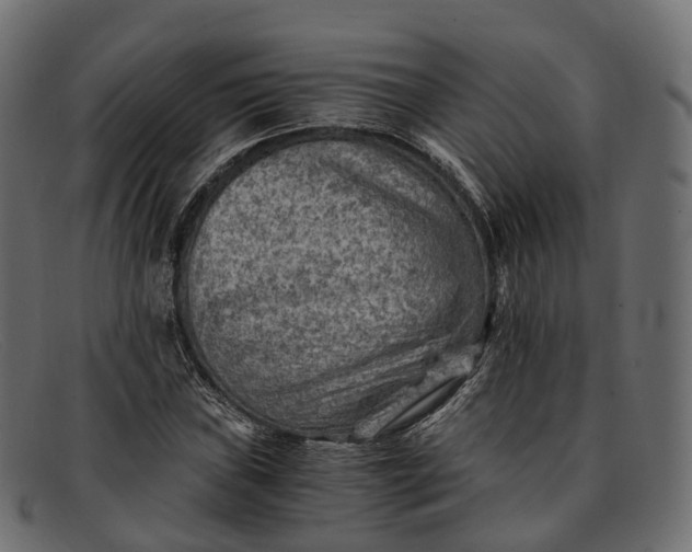 X0000091901019200709191233