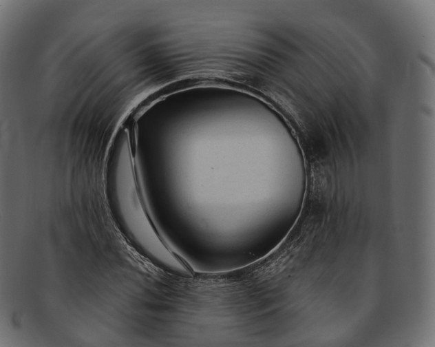 X0000091901020200709191233