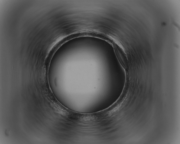 X0000091901021200709191233