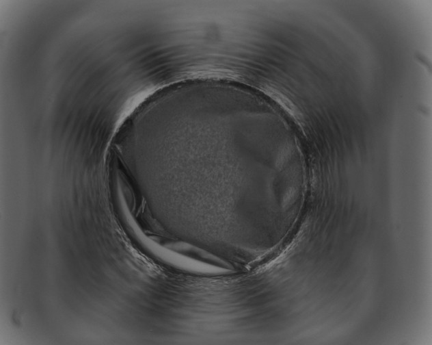 X0000091901022200709191233