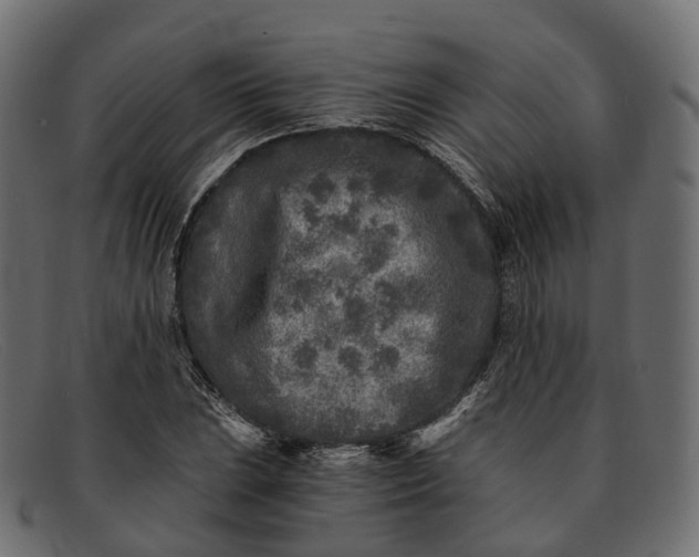 X0000091901023200709191233