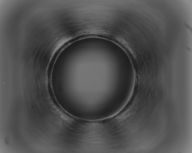 X0000091901024200709191233