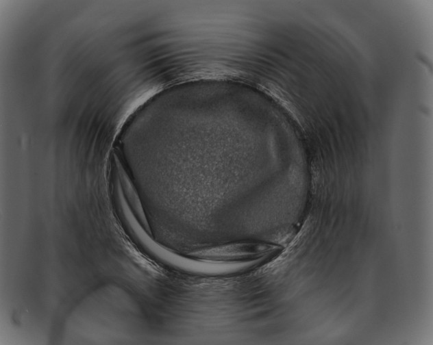 X0000091901026200709191233