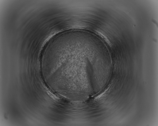 X0000091901027200709191233