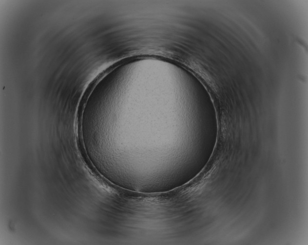 X0000091901028200709191233