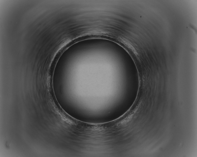 X0000091901029200709191233