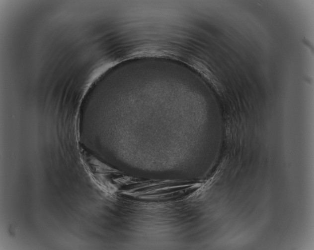 X0000091901030200709191233