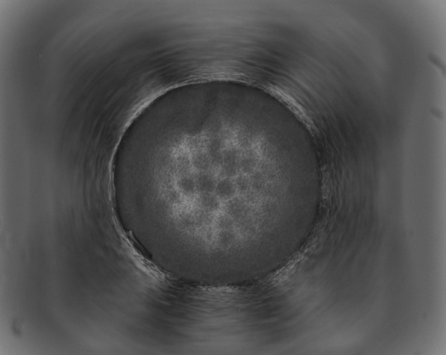 X0000091901031200709191233