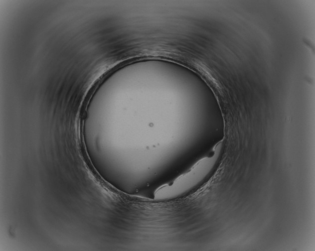 X0000091901032200709191233