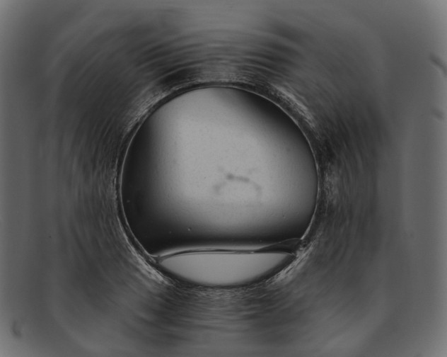 X0000091901033200709191233