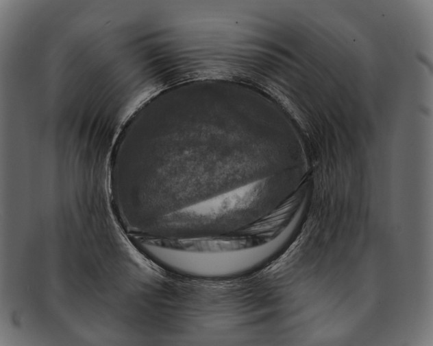 X0000091901034200709191233