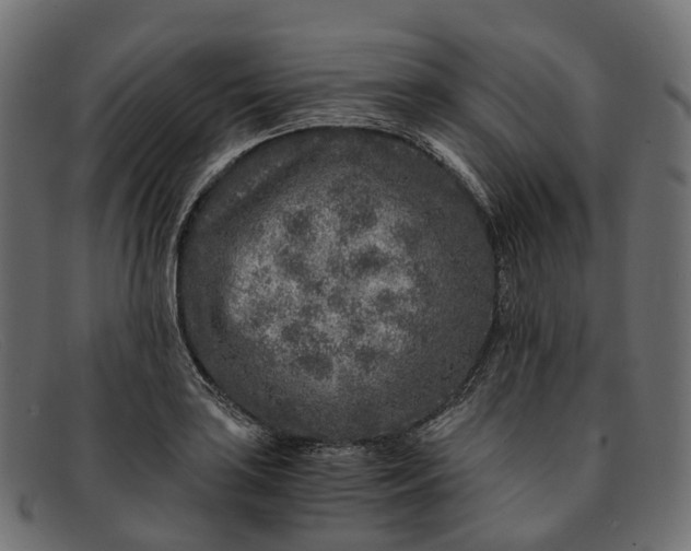 X0000091901035200709191233