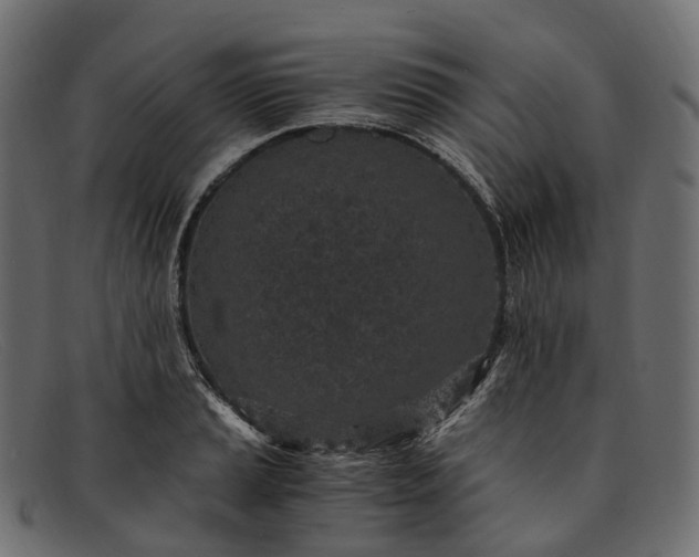 X0000091901037200709191233