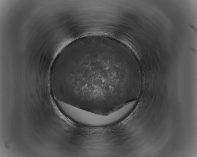 X0000091901038200709191233