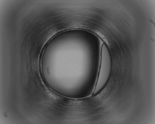 X0000091901039200709191233