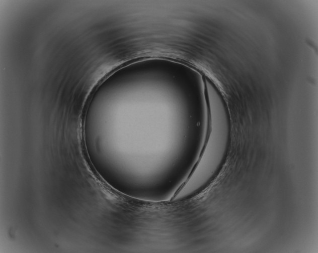 X0000091901040200709191233