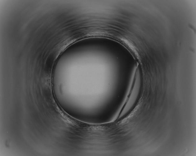 X0000091901041200709191233