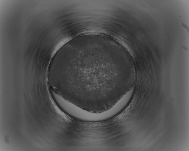 X0000091901042200709191233