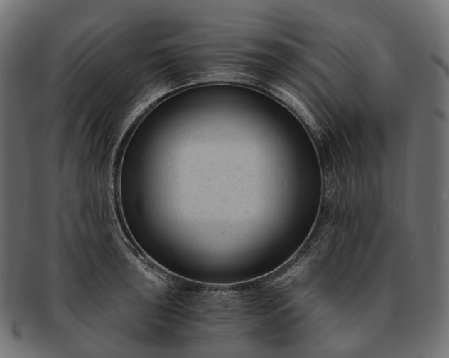 X0000091901043200709191233