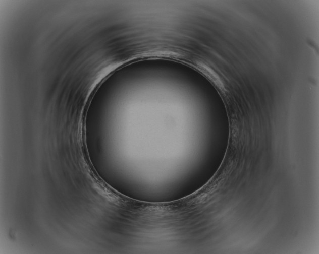 X0000091901044200709191233