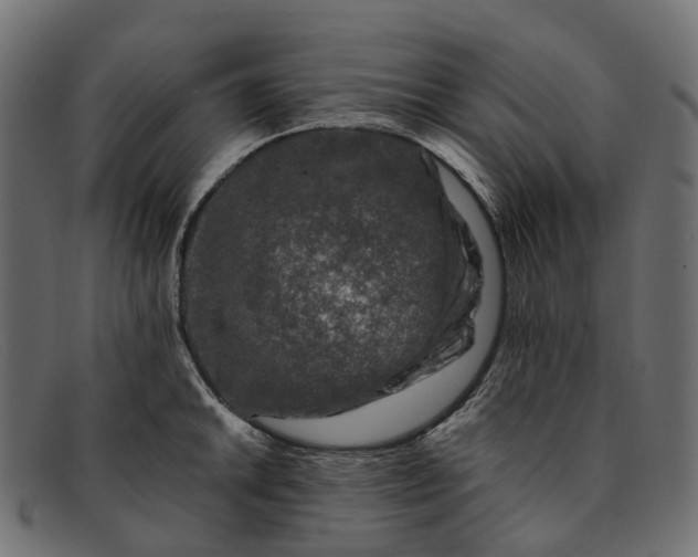 X0000091901046200709191233