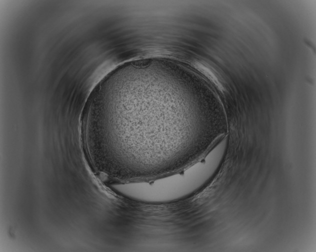 X0000091901047200709191233