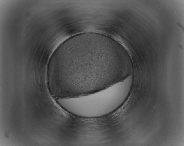 X0000091901048200709191233