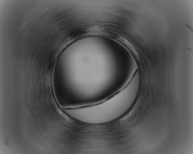 X0000091901049200709191233