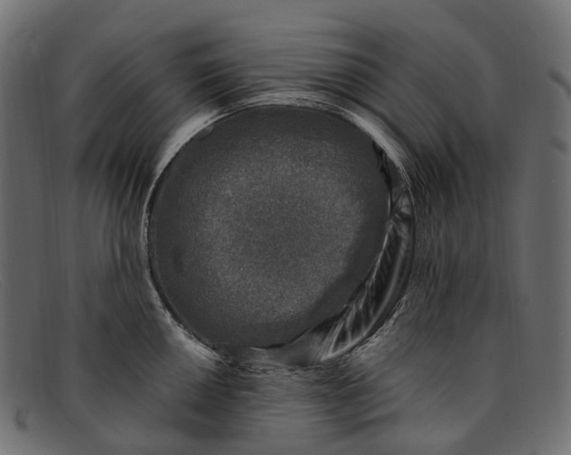 X0000091901050200709191233