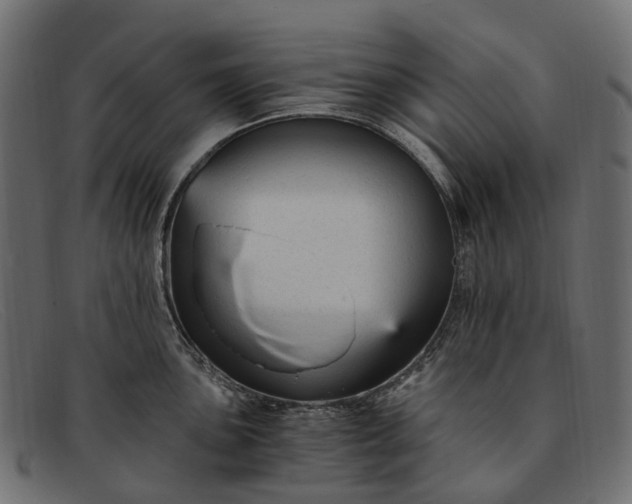 X0000091901051200709191233