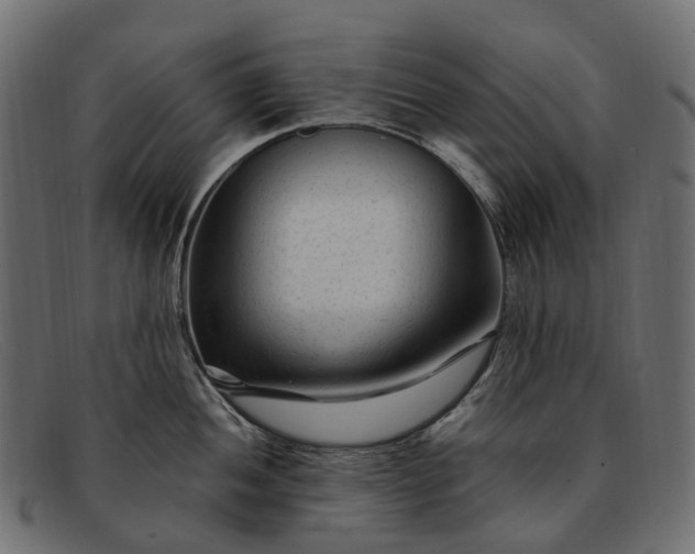 X0000091901052200709191233