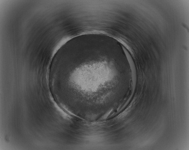 X0000091901054200709191233