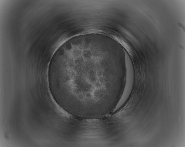 X0000091901055200709191233