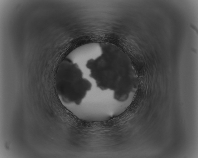 X0000091901057200709191233