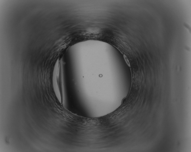 X0000091901058200709191233