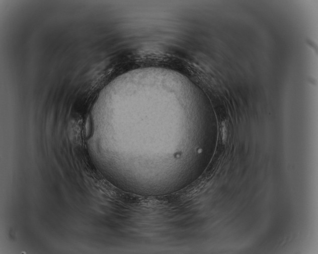 X0000091901059200709191233