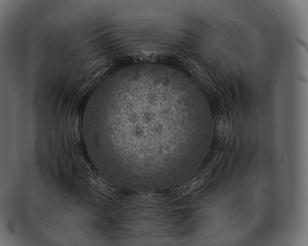 X0000091901060200709191233