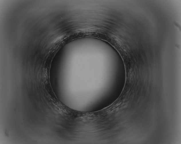 X0000091901062200709191233