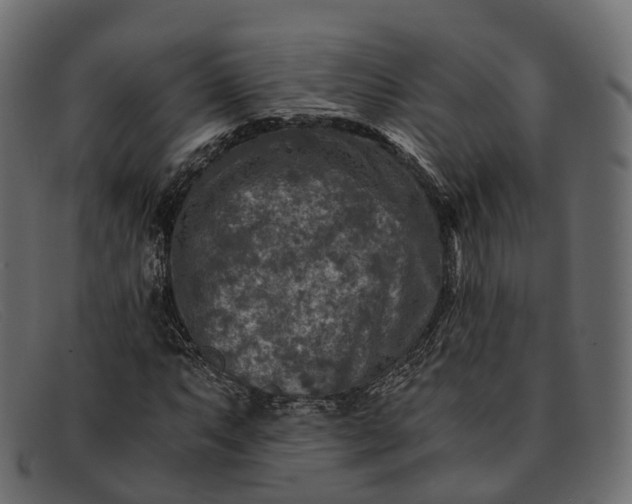 X0000091901063200709191233