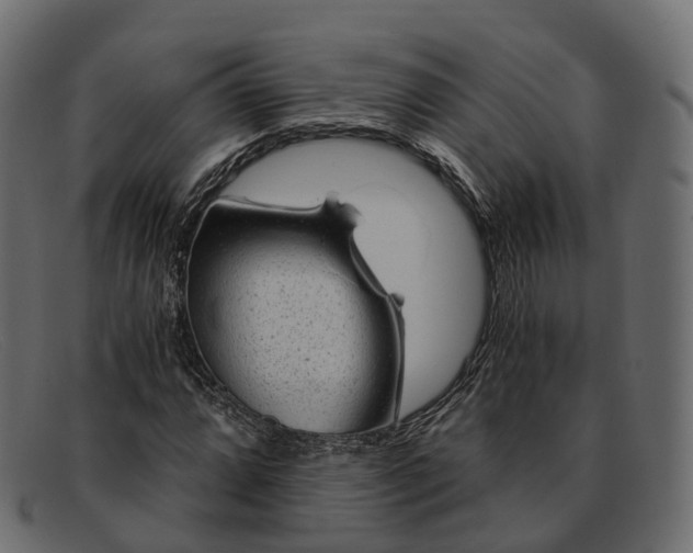 X0000091901064200709191233