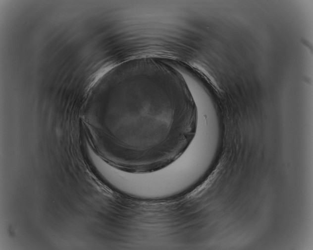 X0000091901065200709191233