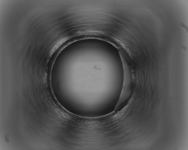 X0000091901066200709191233