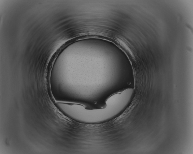 X0000091901068200709191233