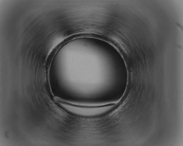 X0000091901069200709191233