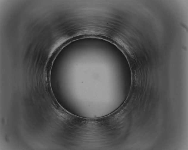 X0000091901070200709191233