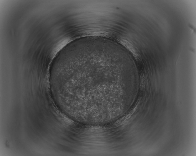 X0000091901071200709191233