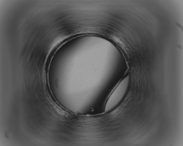 X0000091901072200709191233