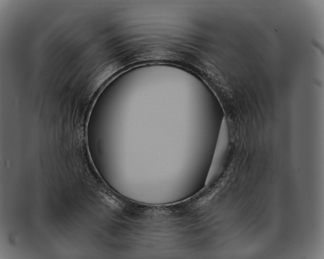 X0000091901073200709191233