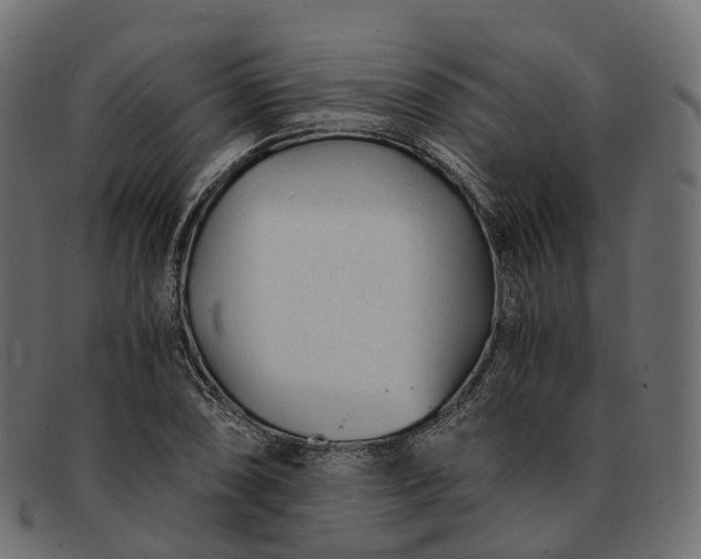 X0000091901074200709191233