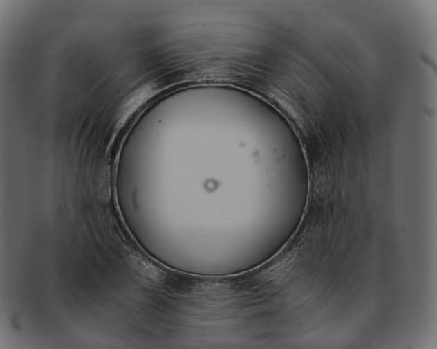 X0000091901075200709191233